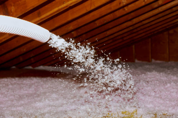 Best Types of Insulation in Bakersfield Country Clu, CA